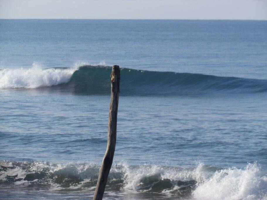 Photo of Others in Playa Hermosa