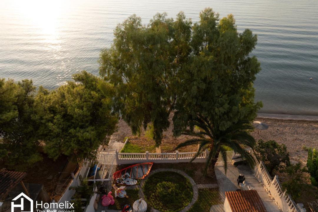 Photo of Others in Chalcis