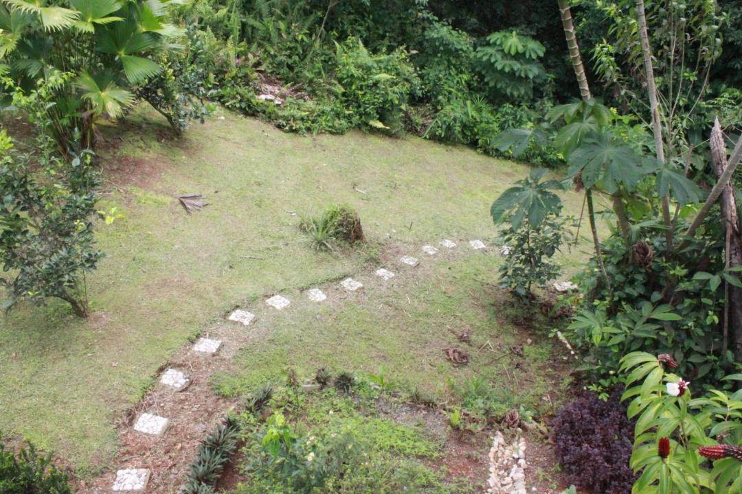 Photo of Others in Puerto Jimenez