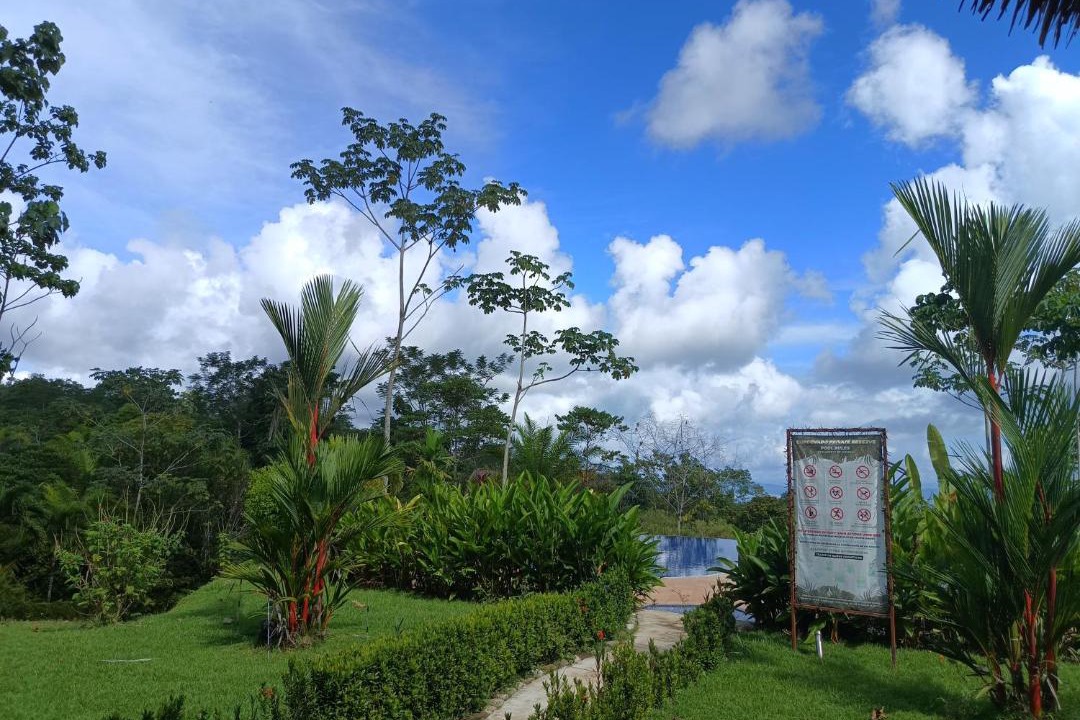 Photo of Others in Puerto Jimenez