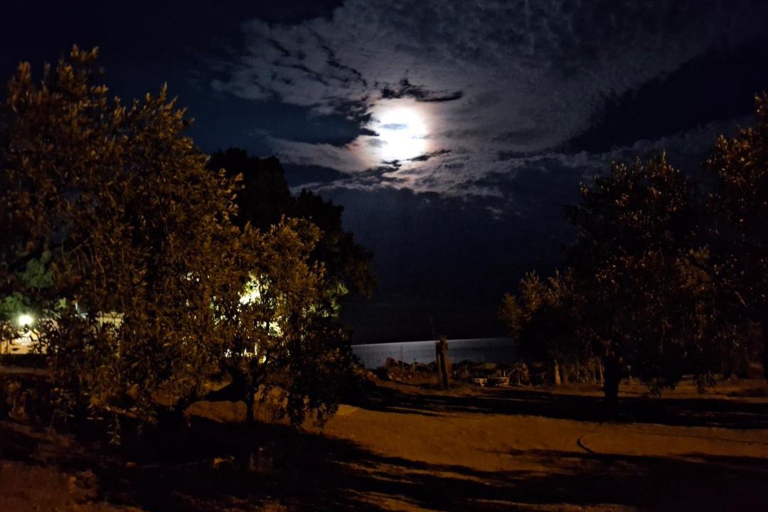 Photo of Others in Thasos