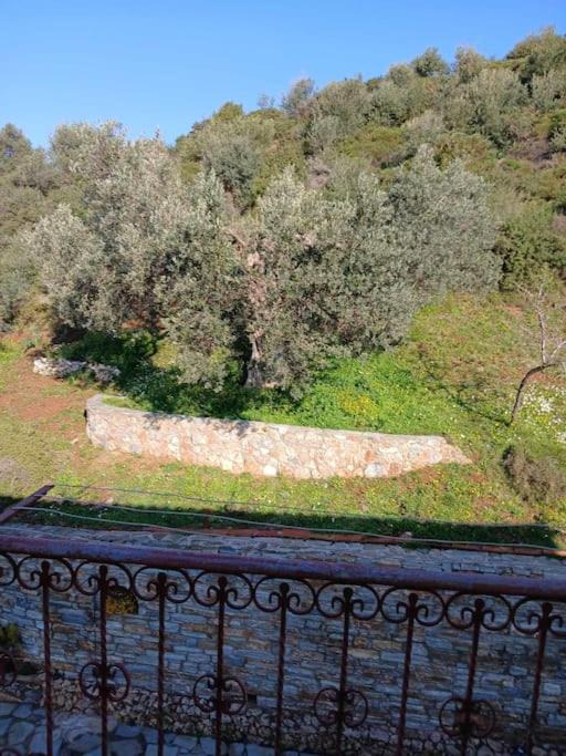 Photo of Others in Karystos