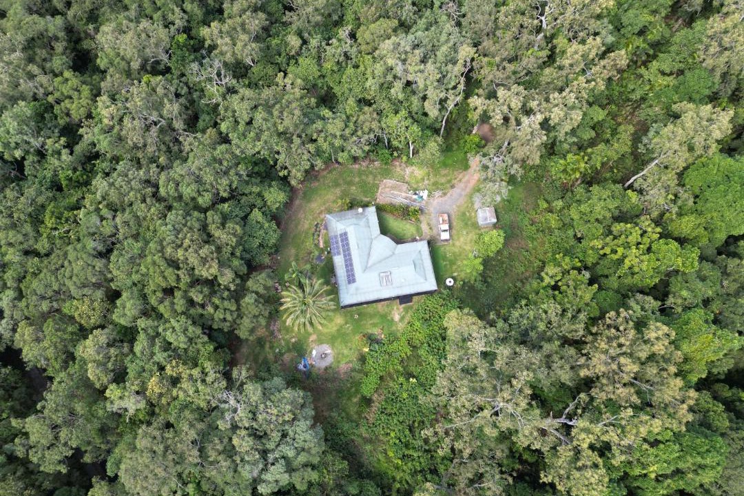 Photo of Others in Cow Bay