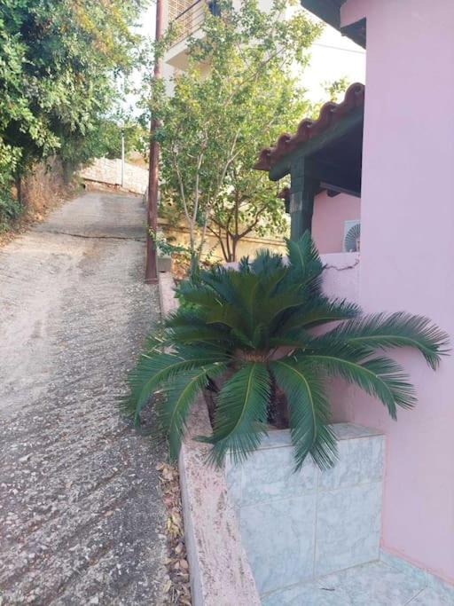 Photo of Others in Kiveri