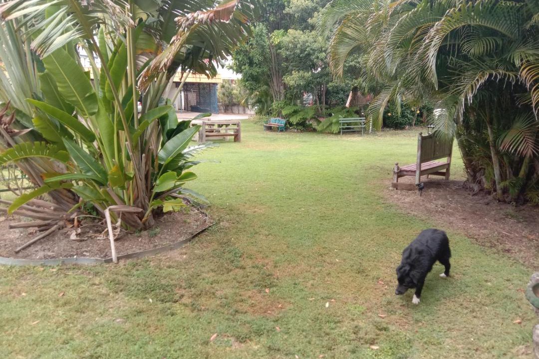 Photo of Others in Bargara