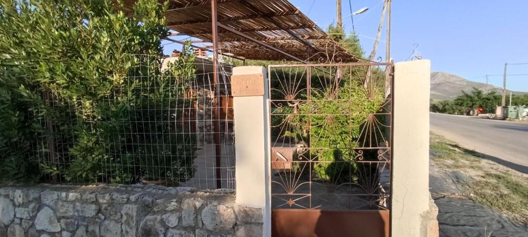 Photo of Others in Vlachiotis