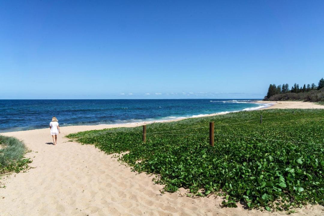 Photo of Others in Shelly Beach