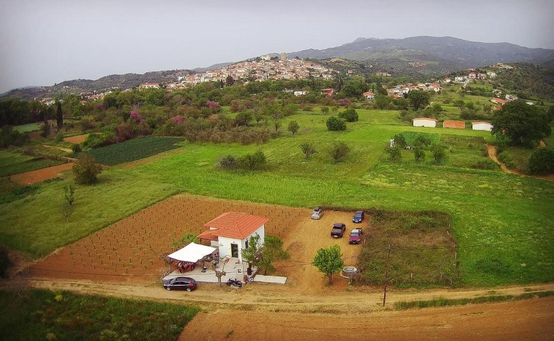 Photo of Others in Kymi-Aliveri