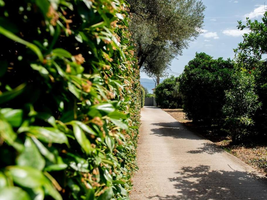 Photo of Others in Aigio