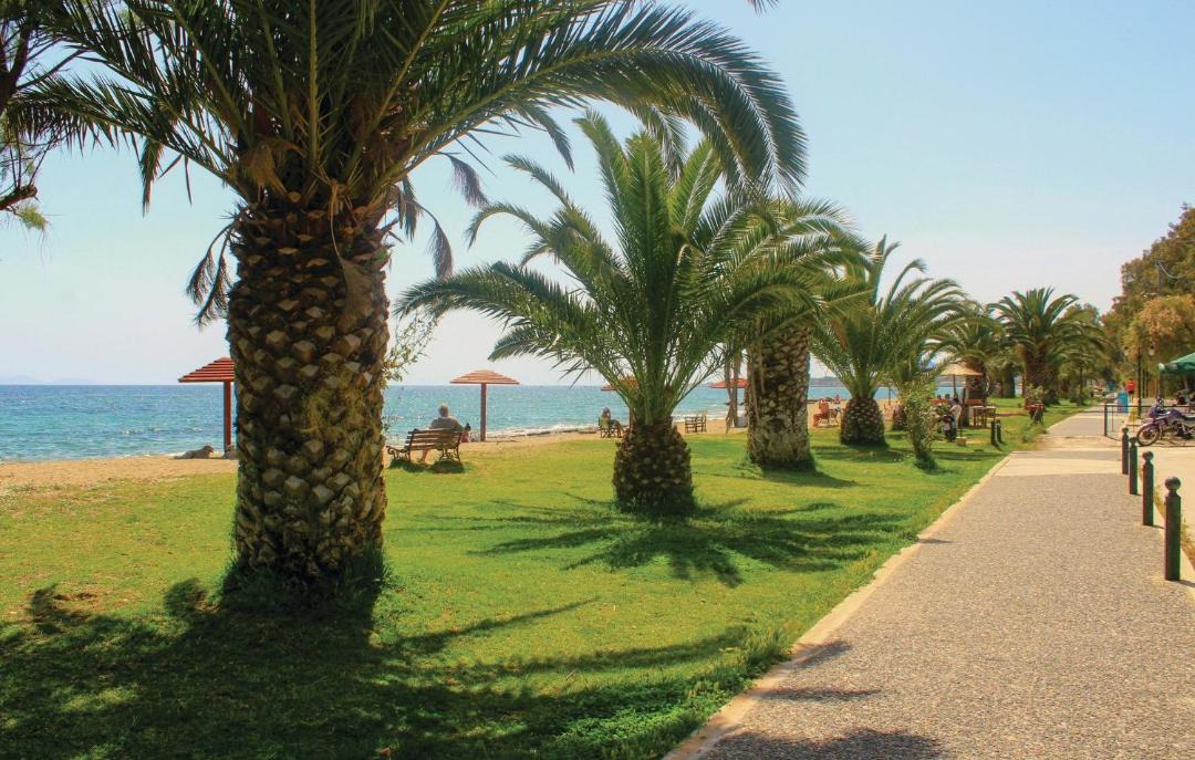 Photo of Others in Nea Makri