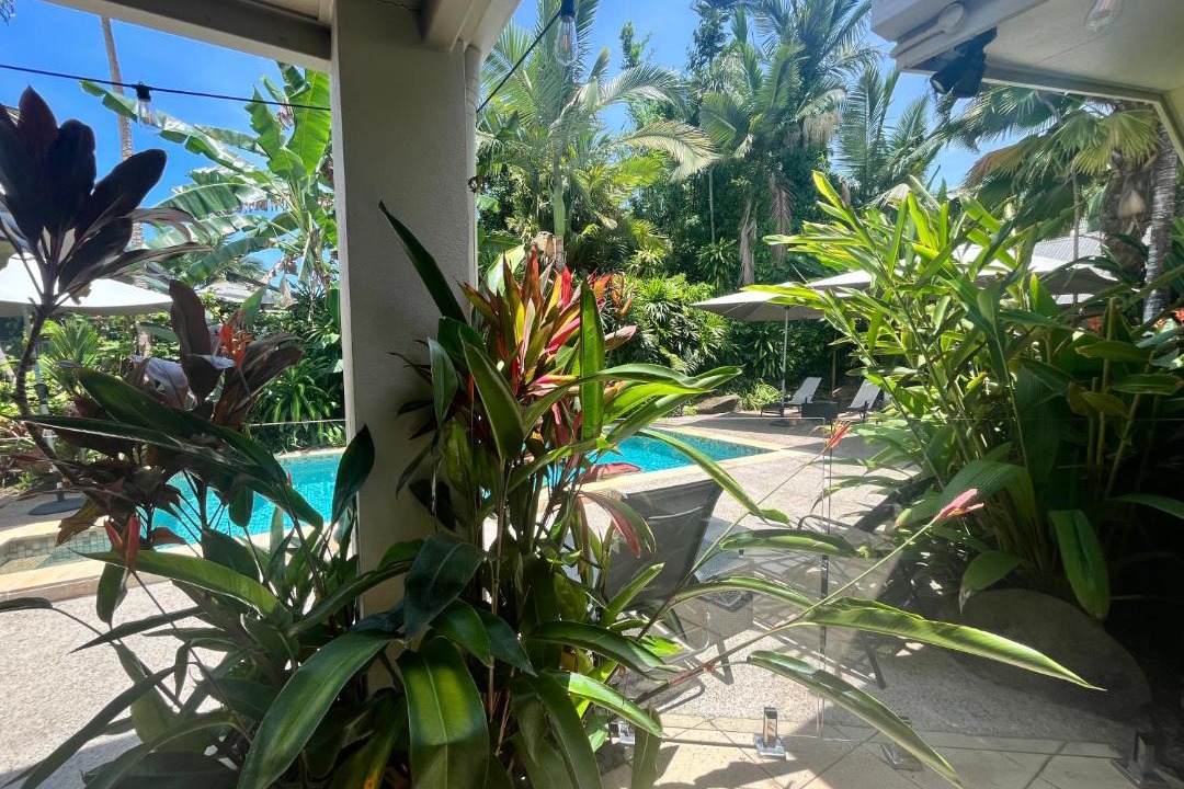 Photo of Others in Palm Cove