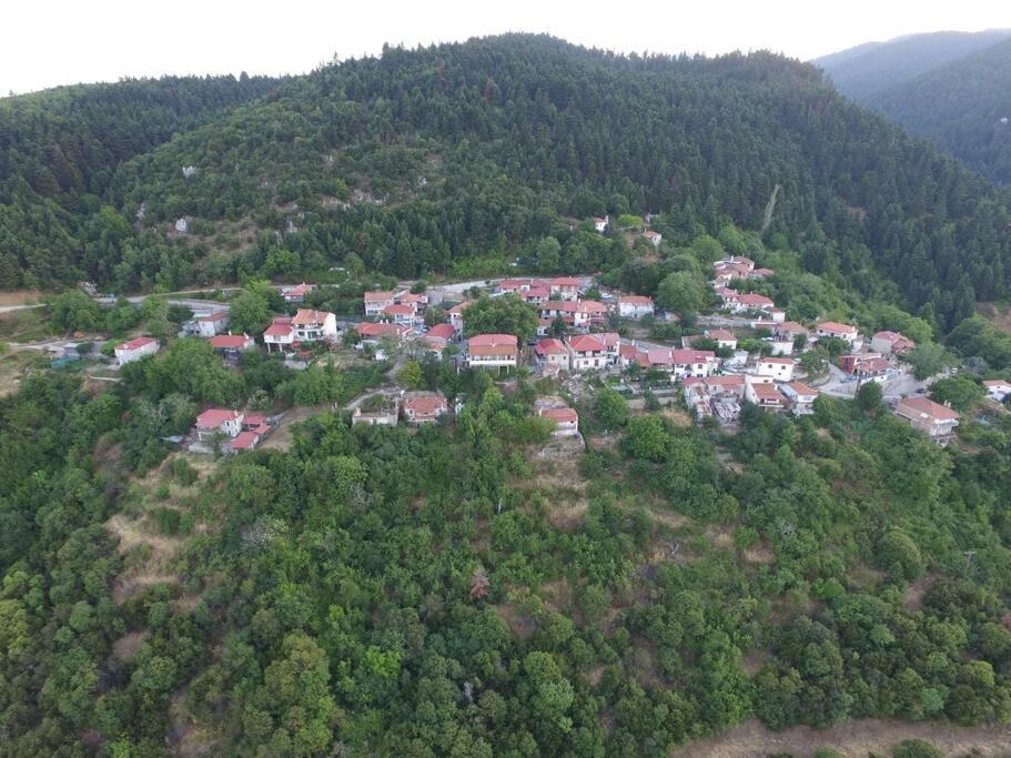 Photo of Others in Lamia