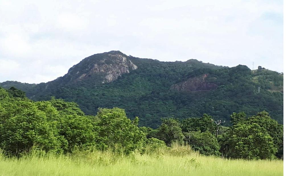 Photo of Others in Kamerunga