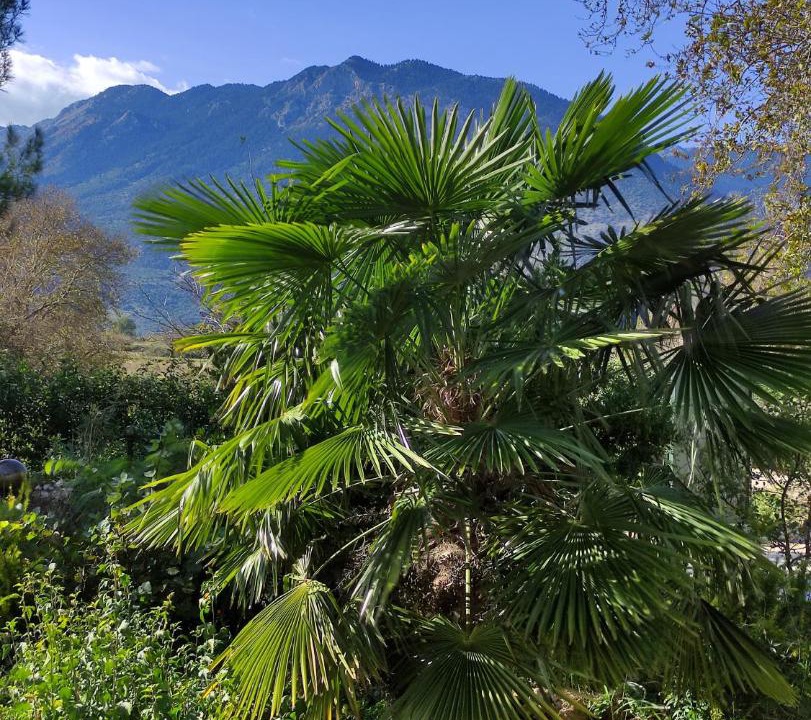 Photo of Outdoor in Polidrosos