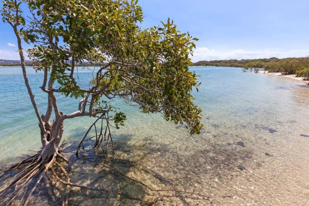 Photo of Outdoor in Twin Waters