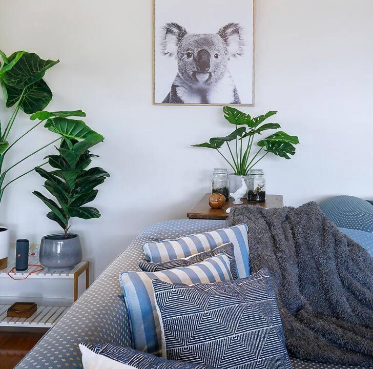 Photo of Livingroom in Taringa