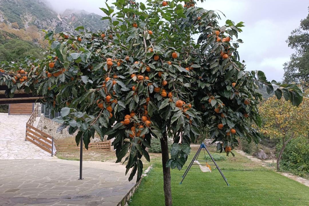 Photo of Others in North Tzoumerka
