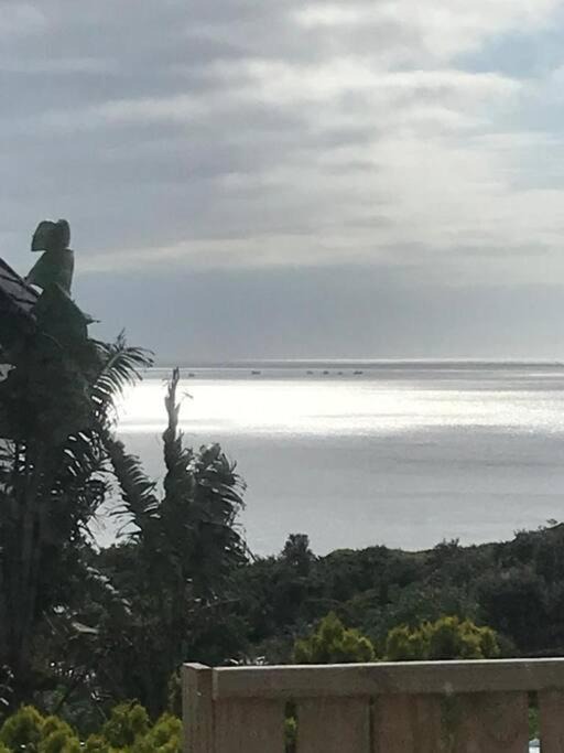 Photo of Others in Saint Francis Bay
