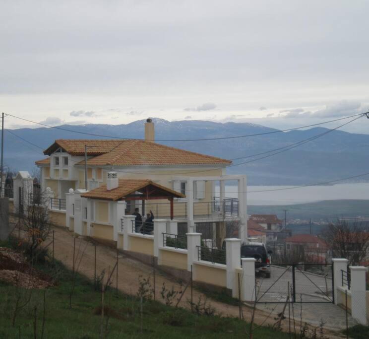 Photo of Others in Mendhenitsa