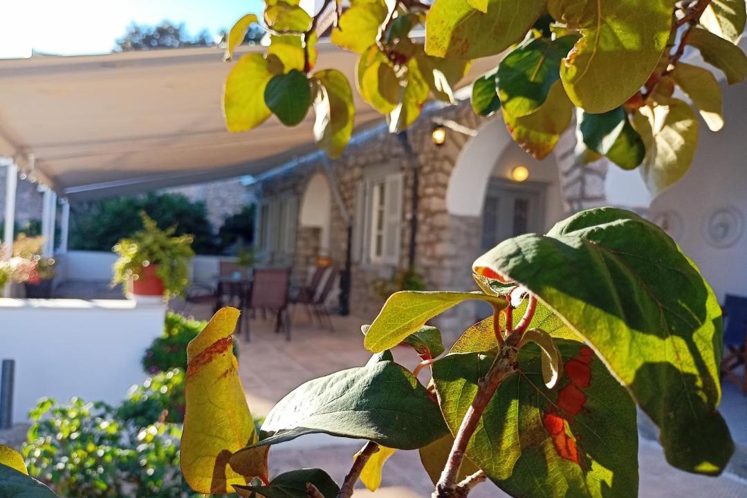 Photo of Patio Balcony in Hydra