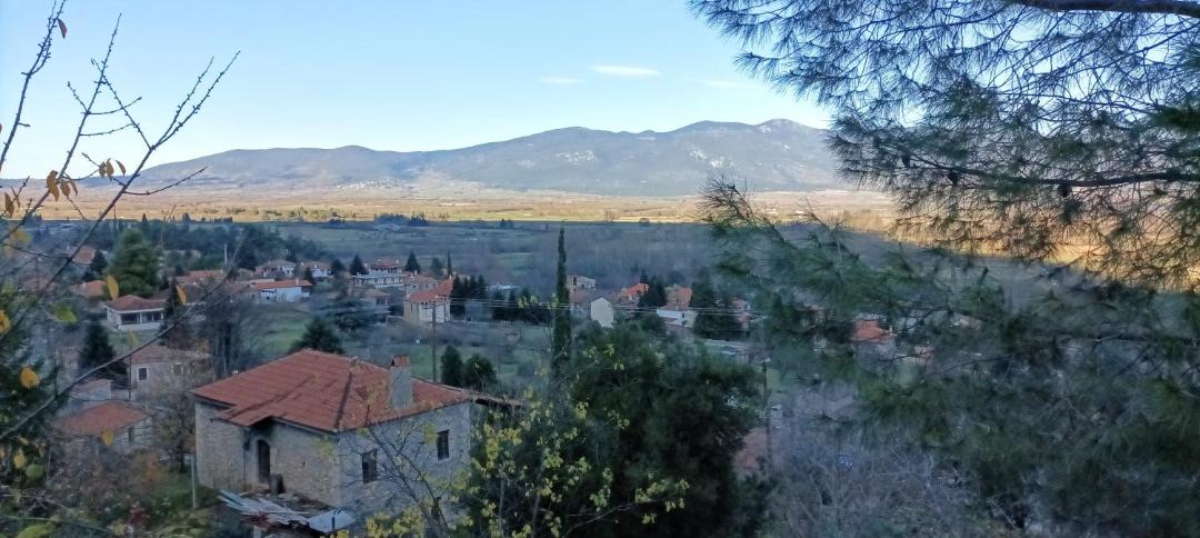 Photo of Others in Lilaia