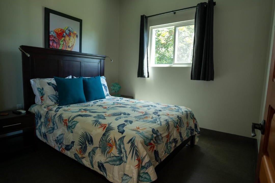 Photo of Others in Ballena