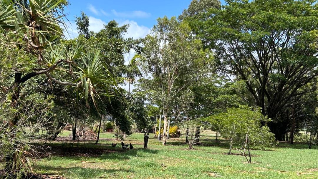 Photo of Outdoor in Foxdale
