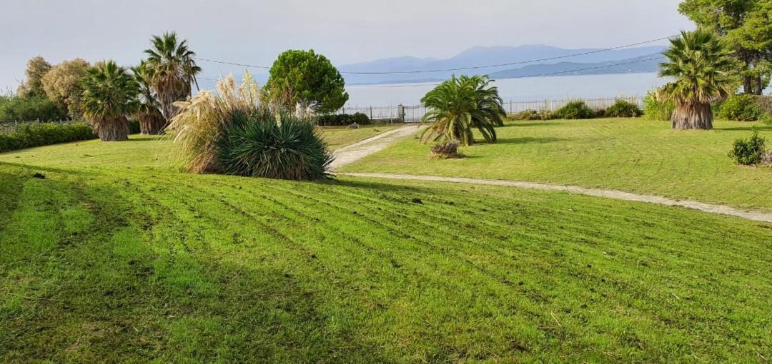 Photo of Others in Molos-Agios Konstantinos