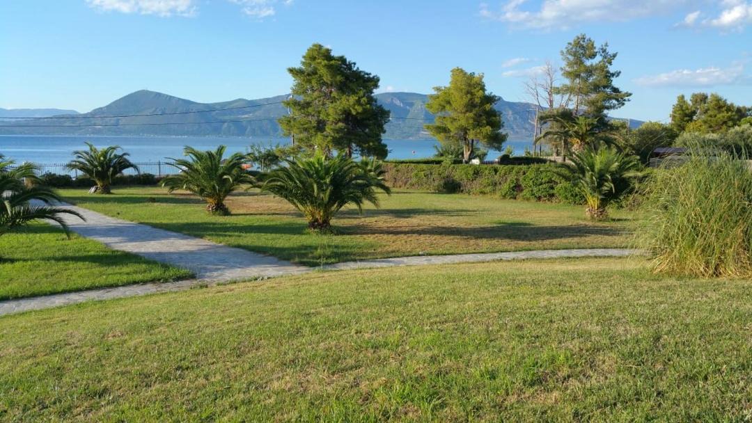 Photo of Outdoor in Molos-Agios Konstantinos