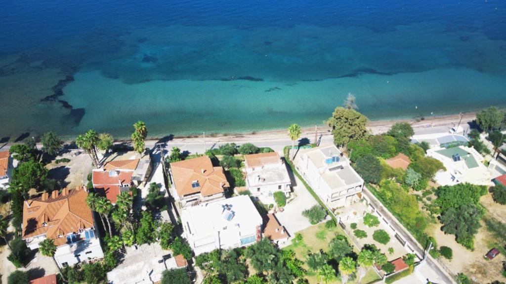 Photo of Others in Patras