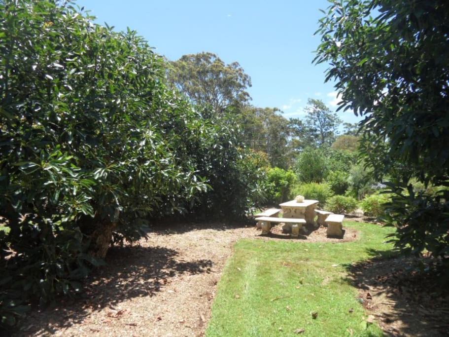 Photo of Others in North Tamborine