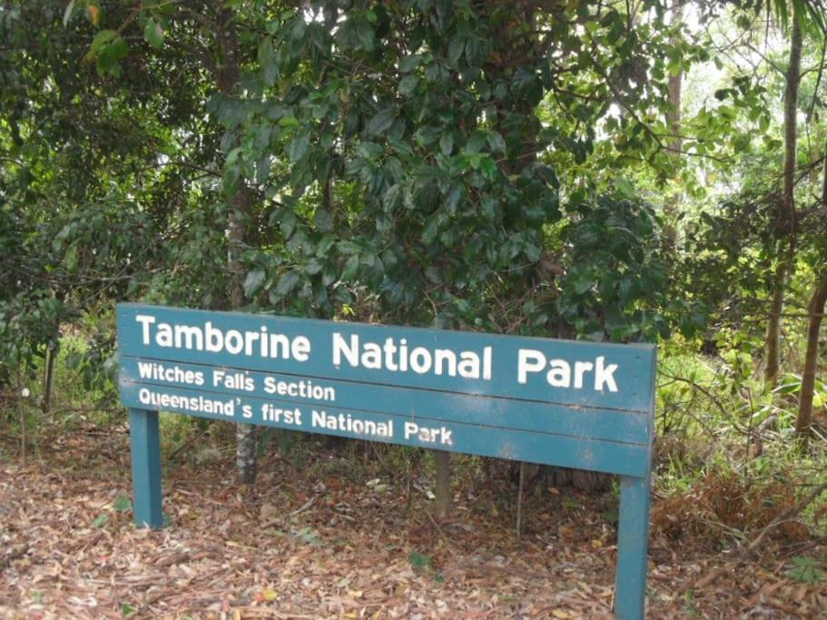 Photo of Others in North Tamborine