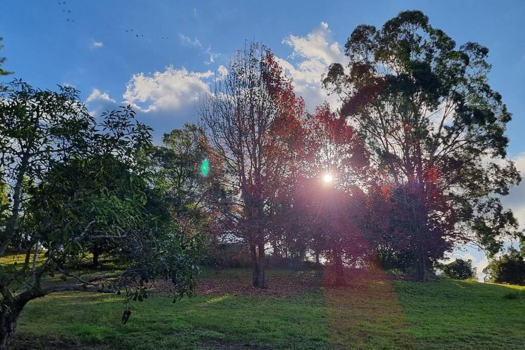 Photo of Others in West Woombye