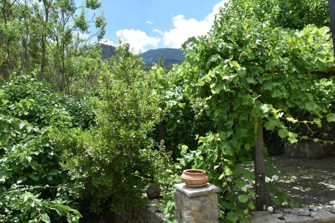 Photo of Others in Kefalochori