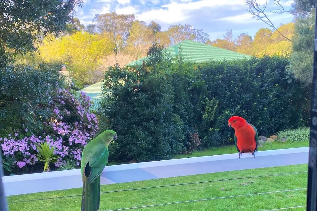 Photo of Others in Mount Tamborine