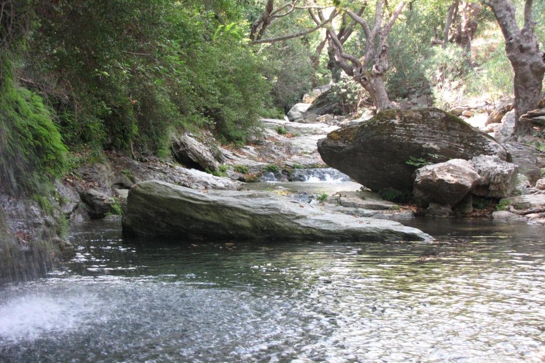Photo of Others in Karystos