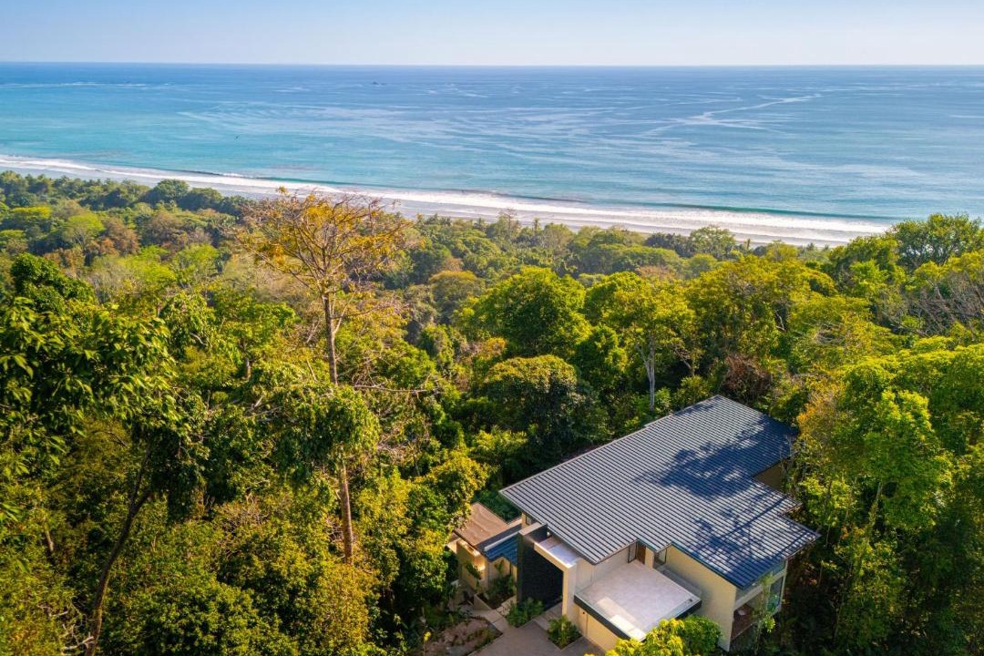 Photo of Others in Ballena