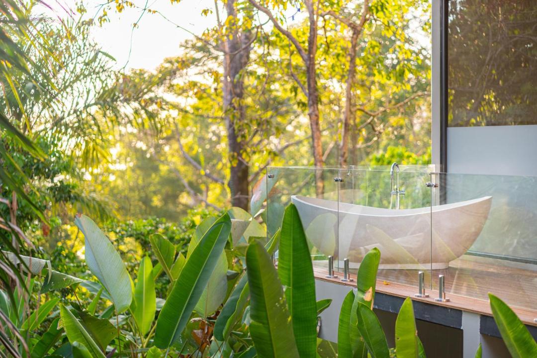 Photo of Others in Ballena