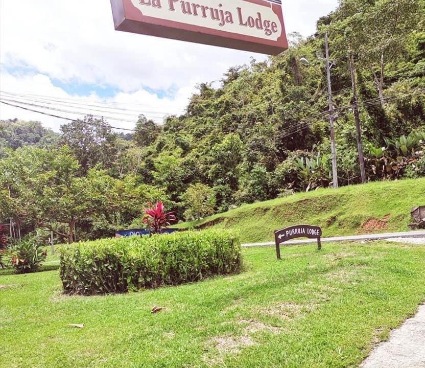Photo of Others in Quebrada La Gamba