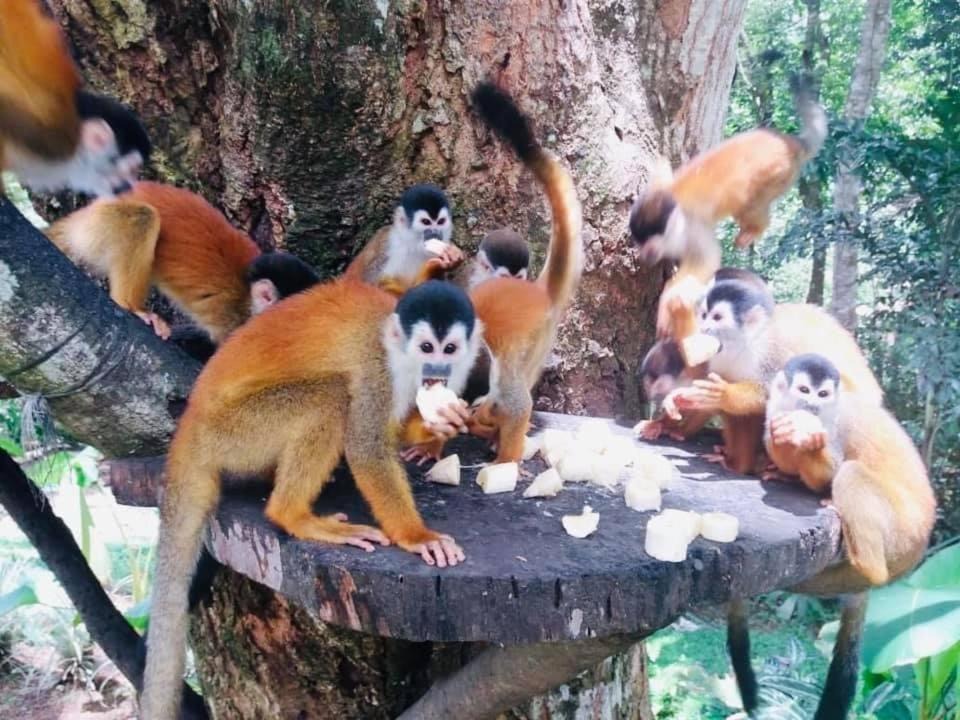 Photo of Others in Quebrada La Gamba