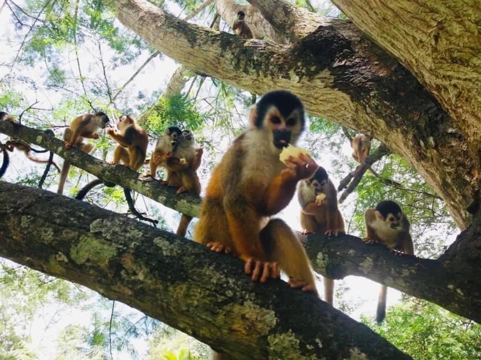 Photo of Others in Quebrada La Gamba