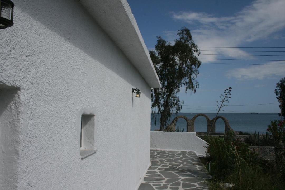 Photo of Others in Selinia