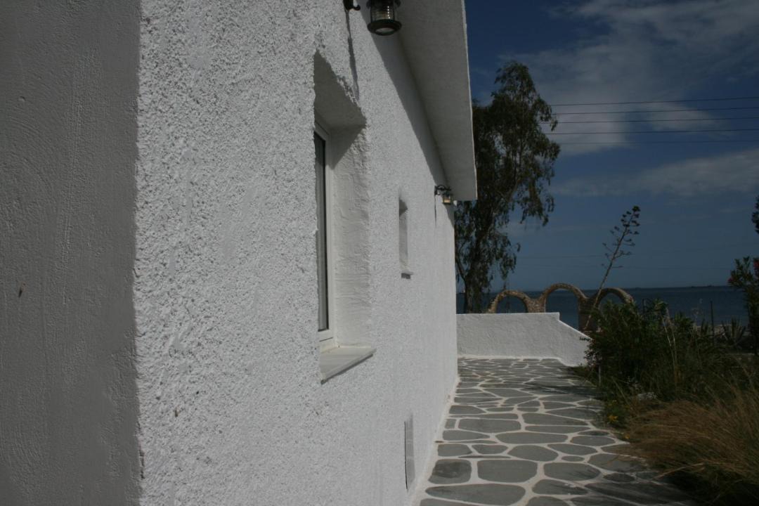 Photo of Others in Selinia