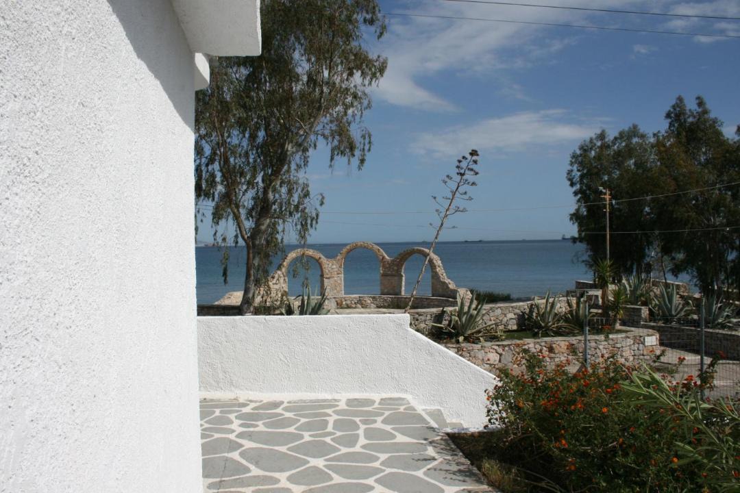 Photo of Others in Selinia