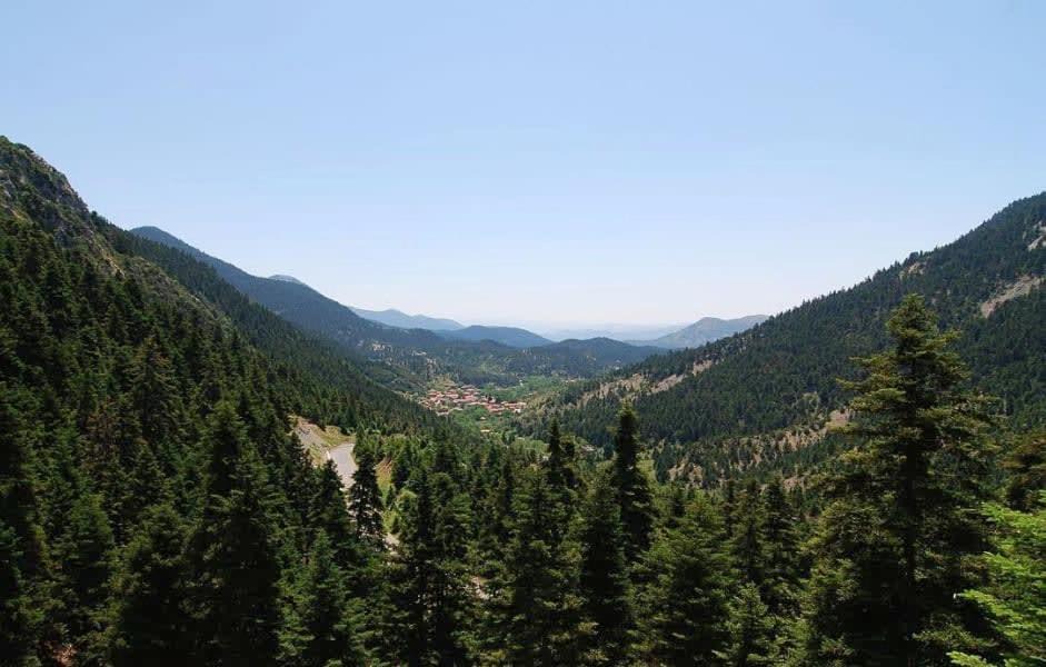 Photo of Others in Trikolonoi