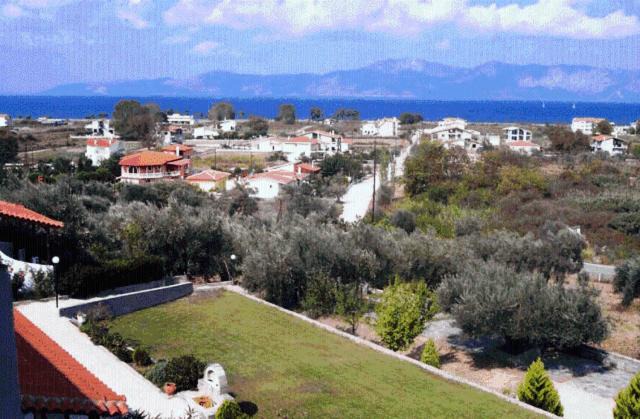 Photo of Others in Artemisio