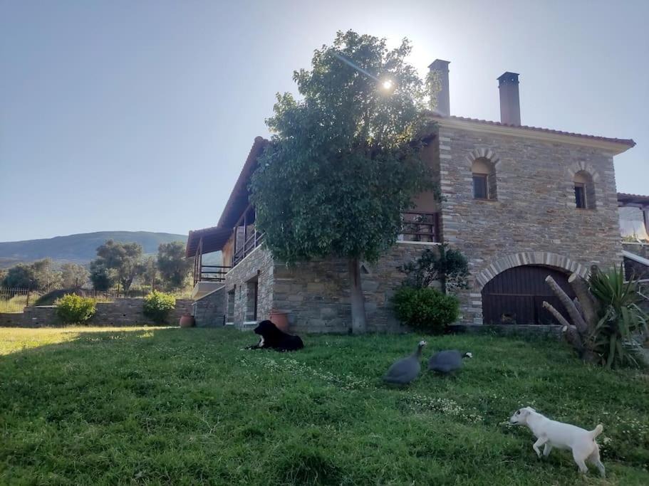 Photo of Others in Sipiada