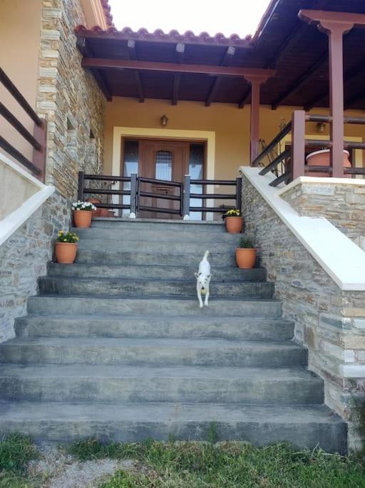 Photo of Others in Sipiada