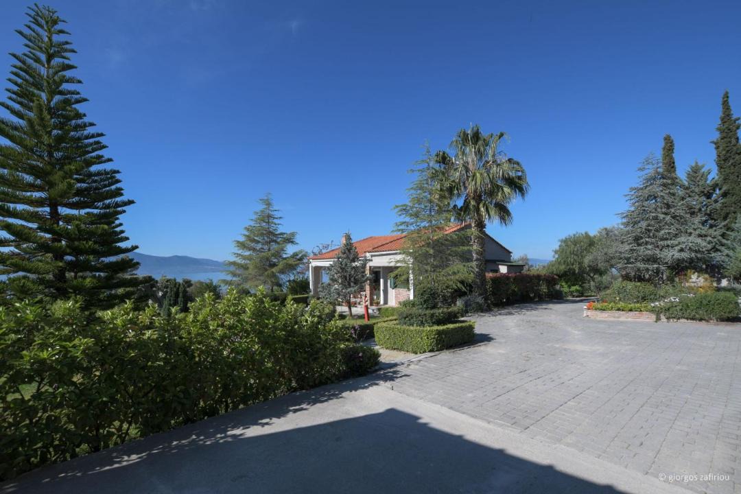Photo of Others in Paradise Beach