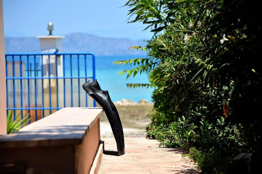 Photo of Others in Assos-Lechaio